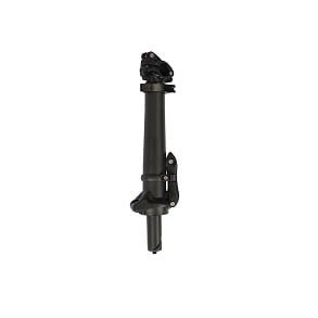 Fiido D1 Folding Stem
