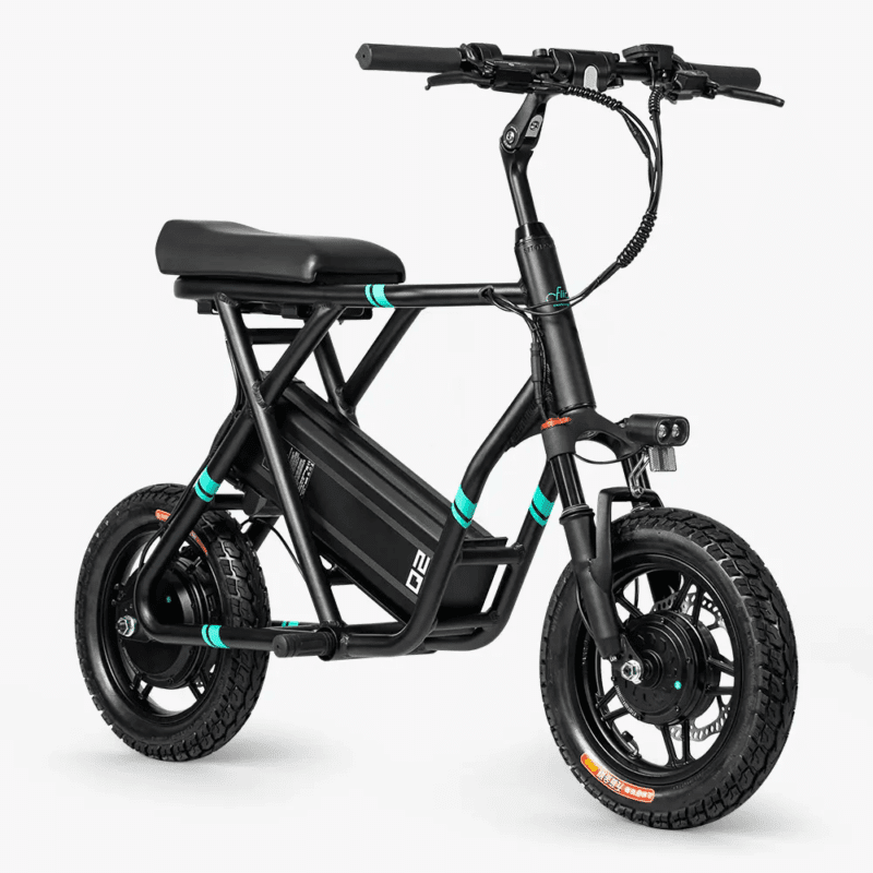 Fiido Q2 Electric Scooter