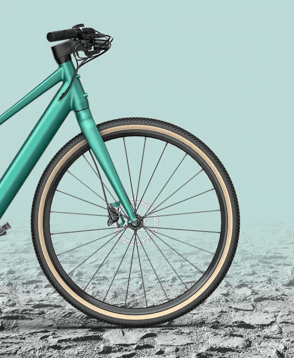 Fiido C22 City Electric Bike