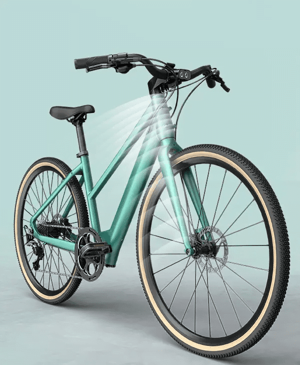 Fiido C22 City Electric Bike