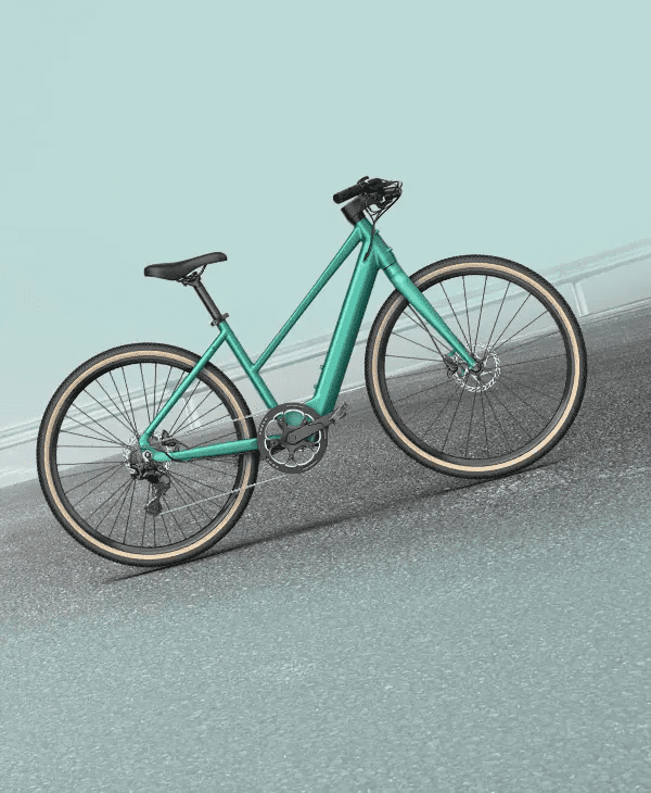 Fiido C22 City Electric Bike