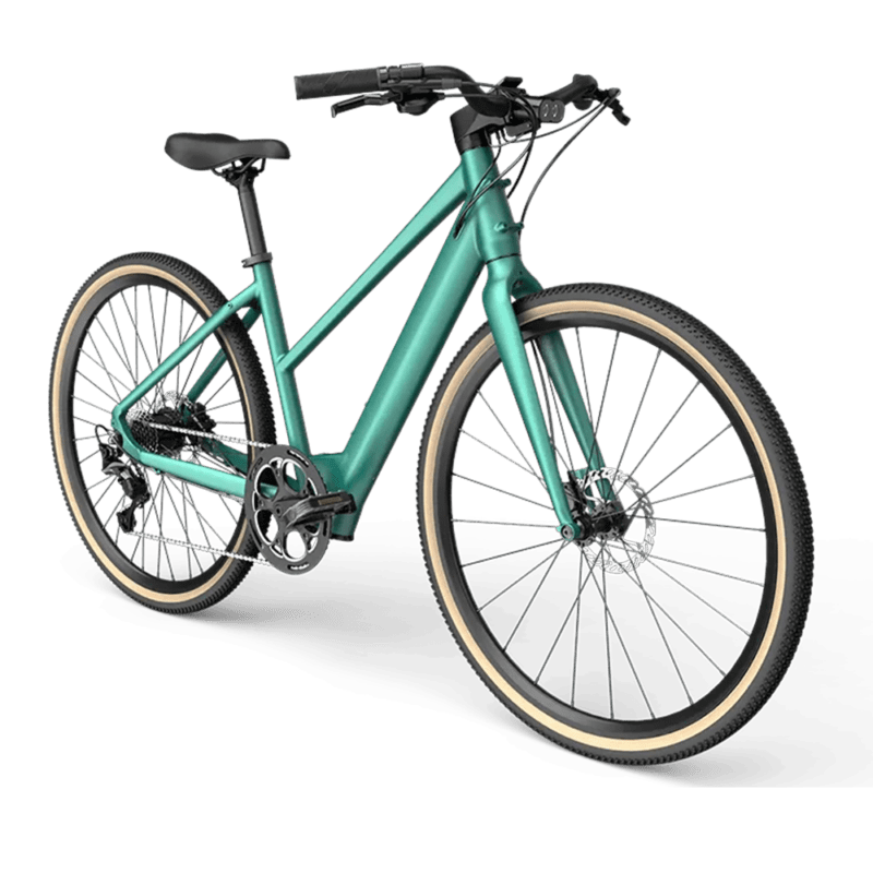Fiido C22 City Electric Bike
