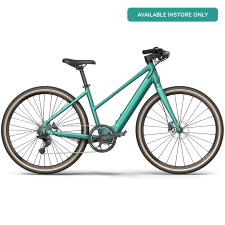 Fiido C22 City Electric Bike
