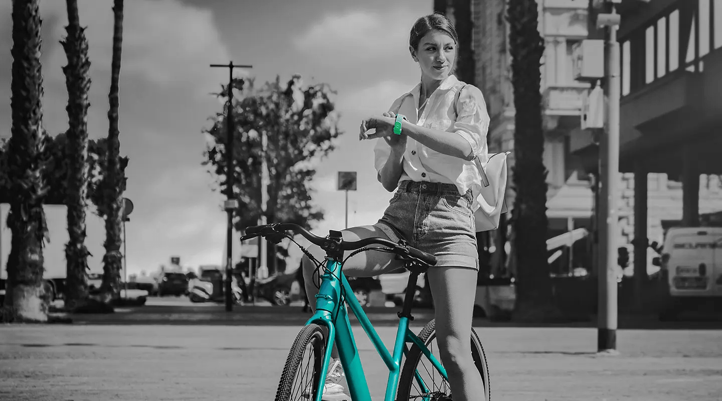 Fiido C22 City Electric Bike