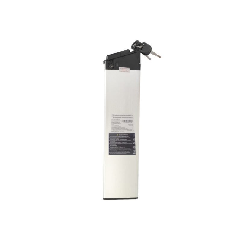 Fiido Electric Bike Battery For M21
