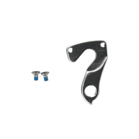 Fiido Electric Bike Derailleur Hanger For T1