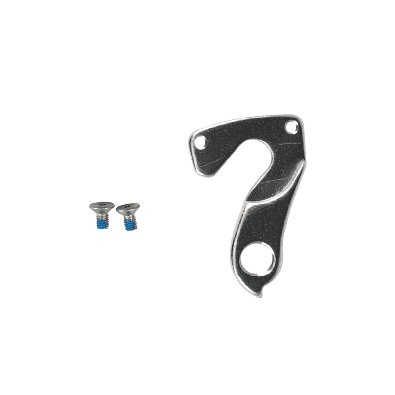 Fiido Electric Bike Derailleur Hanger For T1