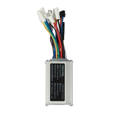 Fiido Controller for D21