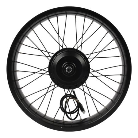 Fiido Rear Wheel Components For M21 Motor plus wheel