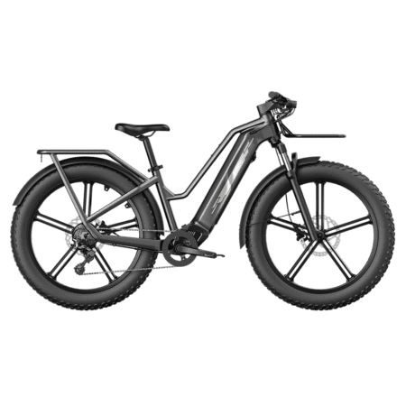 Fiido M25 - Titan Longest Range E-Cargo Bike [400 KMS Extended Range]