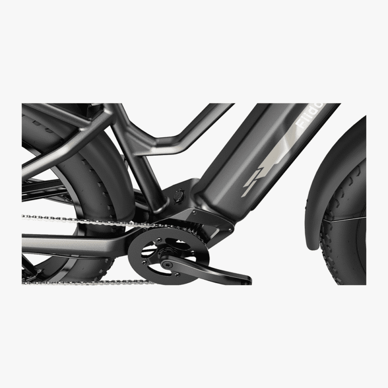 Fiido M25 - Titan Longest Range E-Cargo Bike [400 KMS Extended Range] - Image 2