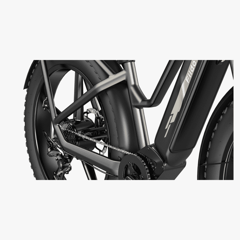 Fiido M25 - Titan Longest Range E-Cargo Bike [400 KMS Extended Range] - Image 4