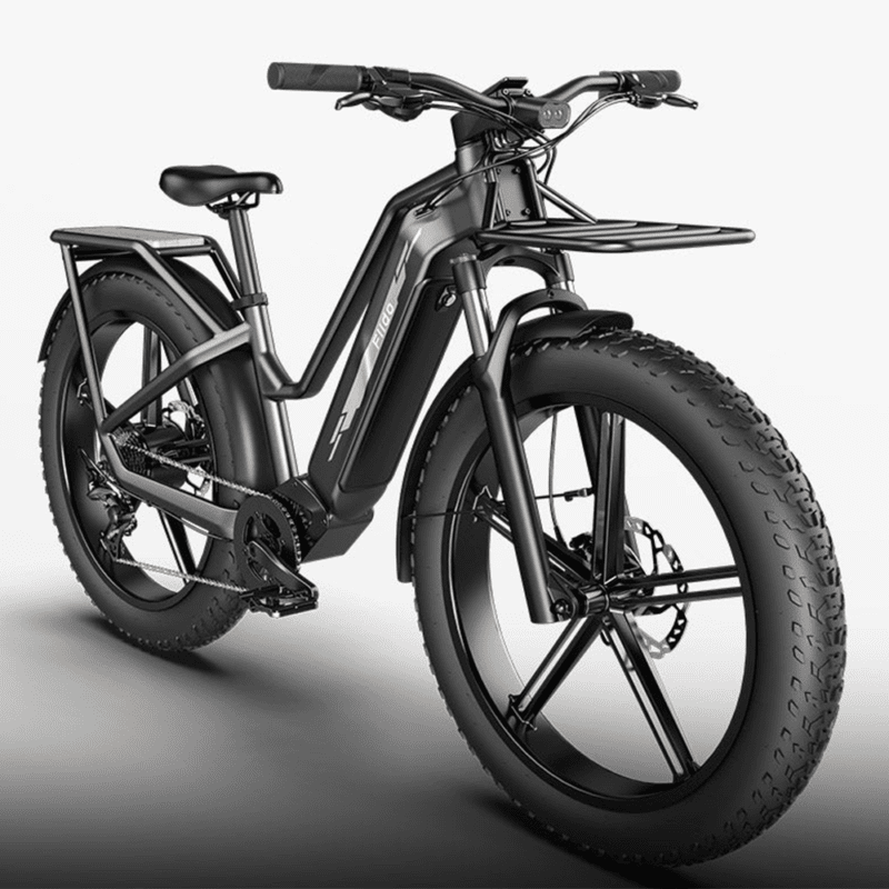 Fiido M25 - Titan Longest Range E-Cargo Bike [400 KMS Extended Range] - Image 6