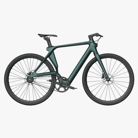 FIIDO C31 The Lightest Carbon Electric Bike