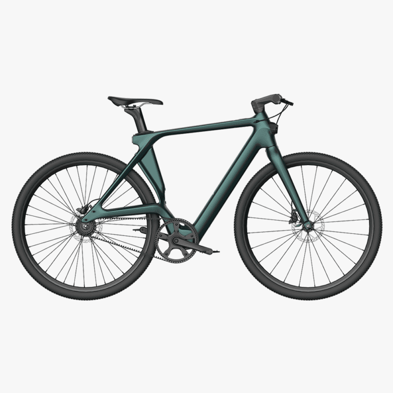 FIIDO C31 The Lightest Carbon Electric Bike