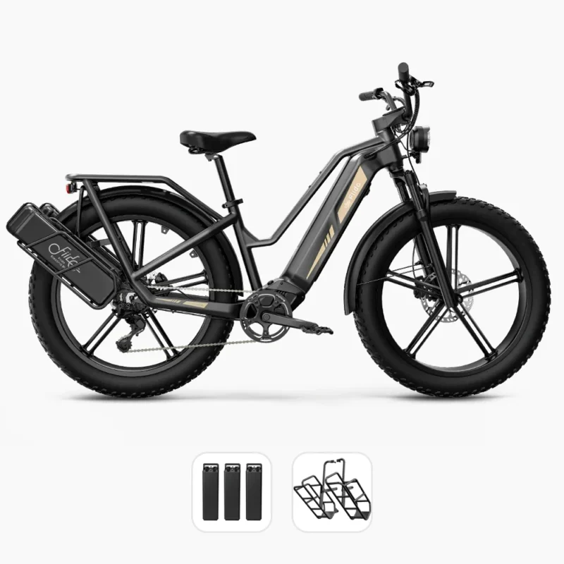 Fiido M25 - Titan Longest Range E-Cargo Bike [400 KMS Extended Range] - Image 7
