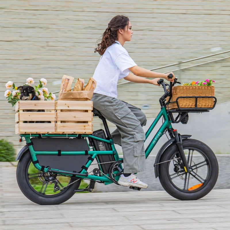 FIIDO T2 Long Range Multipurpose tail seat ecargo ebike on cyclescheme cycletowork bikestowork - Image 10