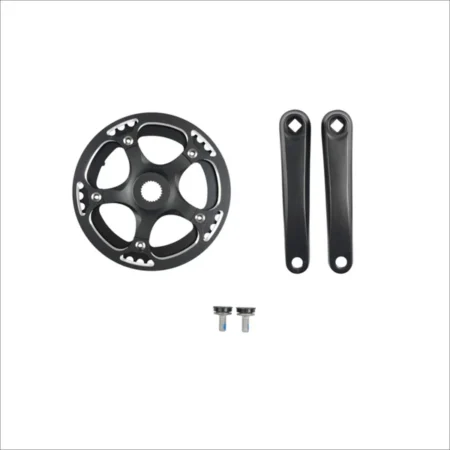 Fiido Disk Crankset for Titan