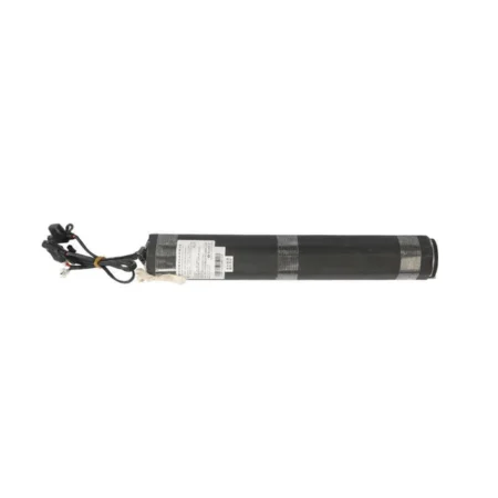Additional Fiido Battery for D3/D3S