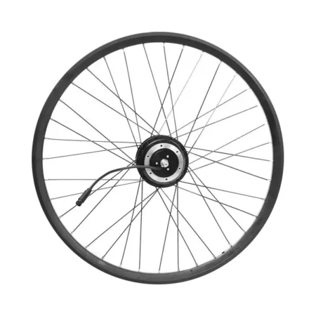 Fiido Rear wheel components for C21/C22