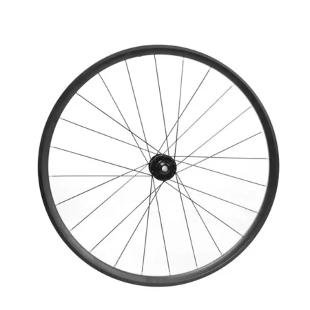Fiido Front wheel componentfor C21/C22