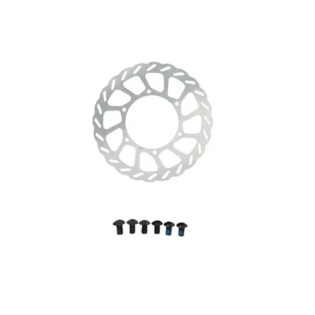 Fiido brake disc(Rear wheel)for C21/C22