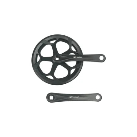 Fiido Disk Crankset for C11