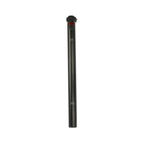 Additional Fiido Electric Bike Battery for D21