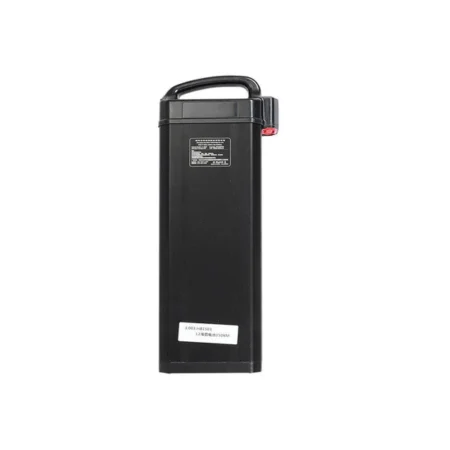 Fiido L3 Electric Bike Battery
