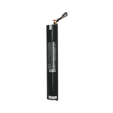 Fiido Additional Battery for C21/C22