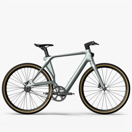 Fiido C31 Air Carbon Fiber E-bike