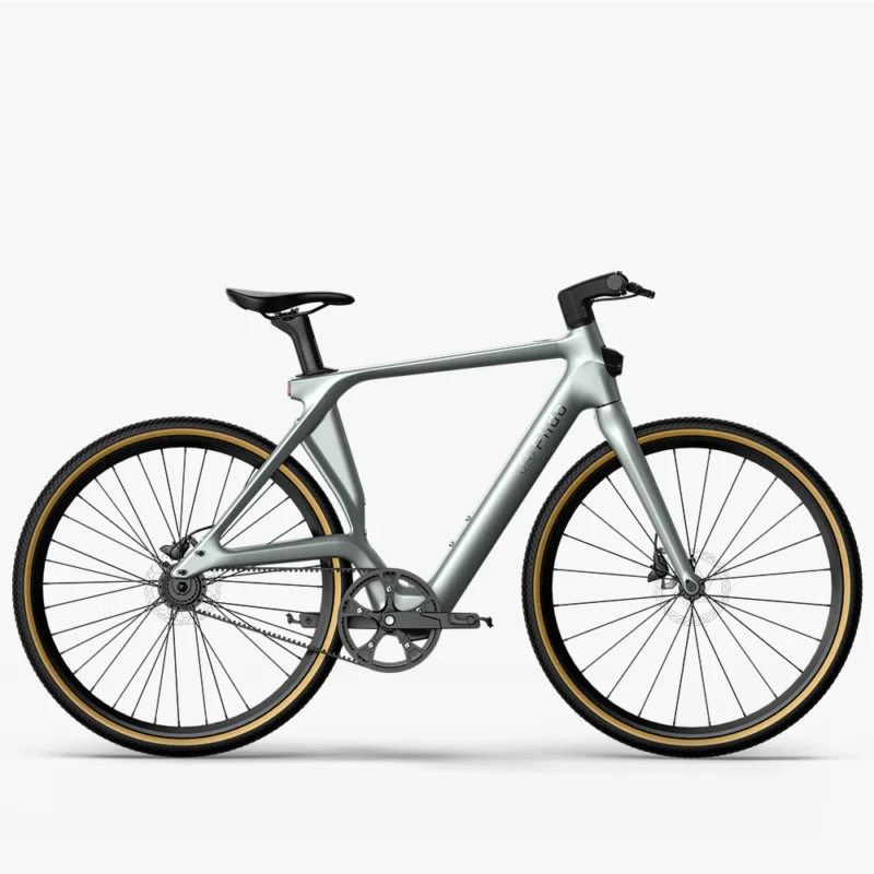 Fiido C31 Air Carbon Fiber E-bike