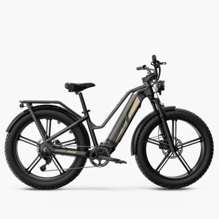 Fiido Titan 2025 250W model compatible - on cyclescheme bikestowork & cycletowork