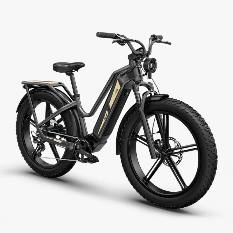 Fiido Titan 2025 250W model compatible - on cyclescheme bikestowork & cycletowork - Image 3