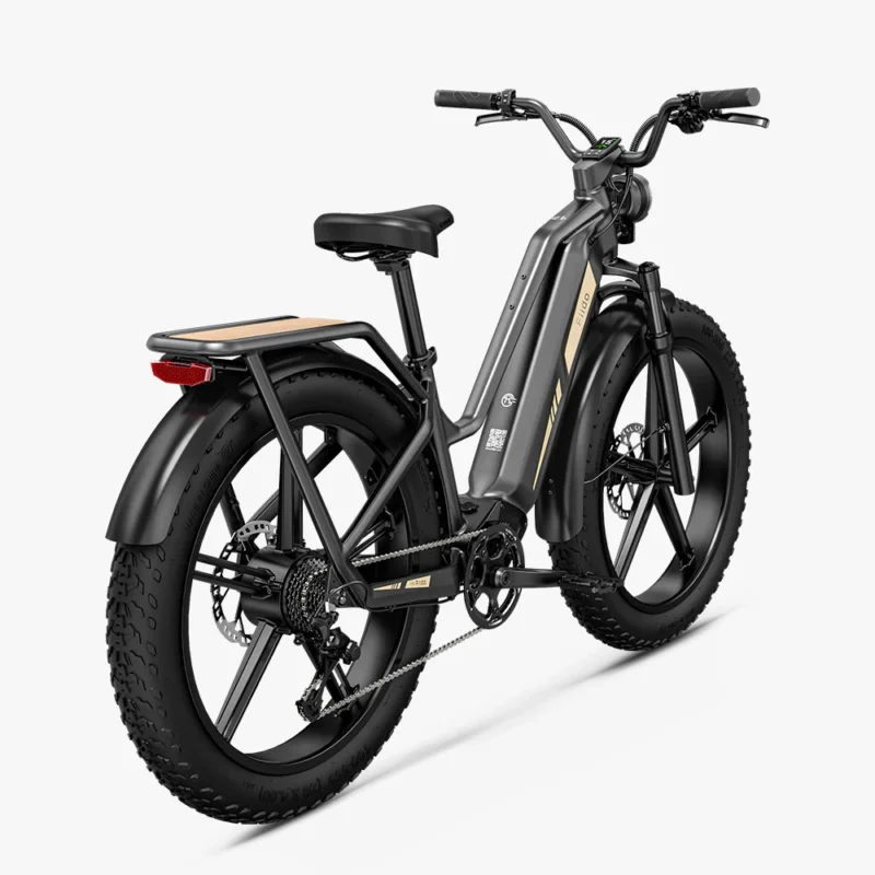 Fiido Titan 2025 250W model compatible - on cyclescheme bikestowork & cycletowork - Image 2
