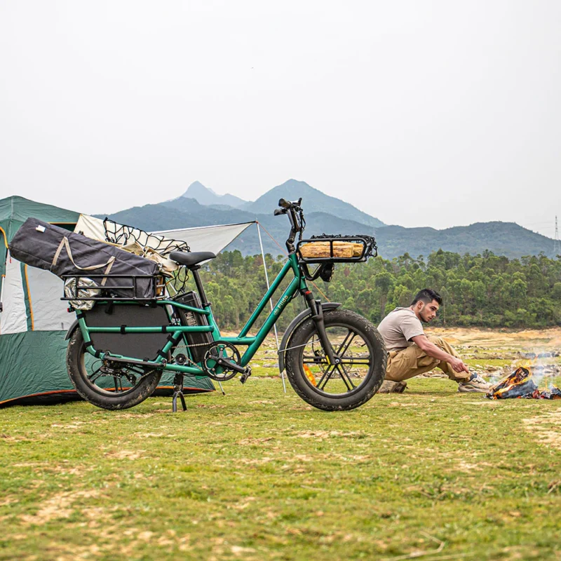 T2 version 2025 Long range ecargo - on cyclescheme bikestowork & cycletowork - Image 5