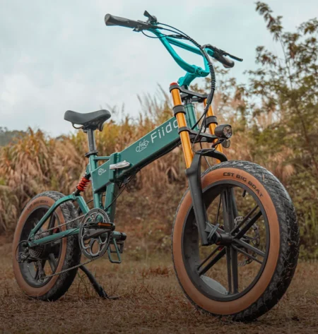 FIIDO M1 PRO Newest Version Fat Tire E-bike
