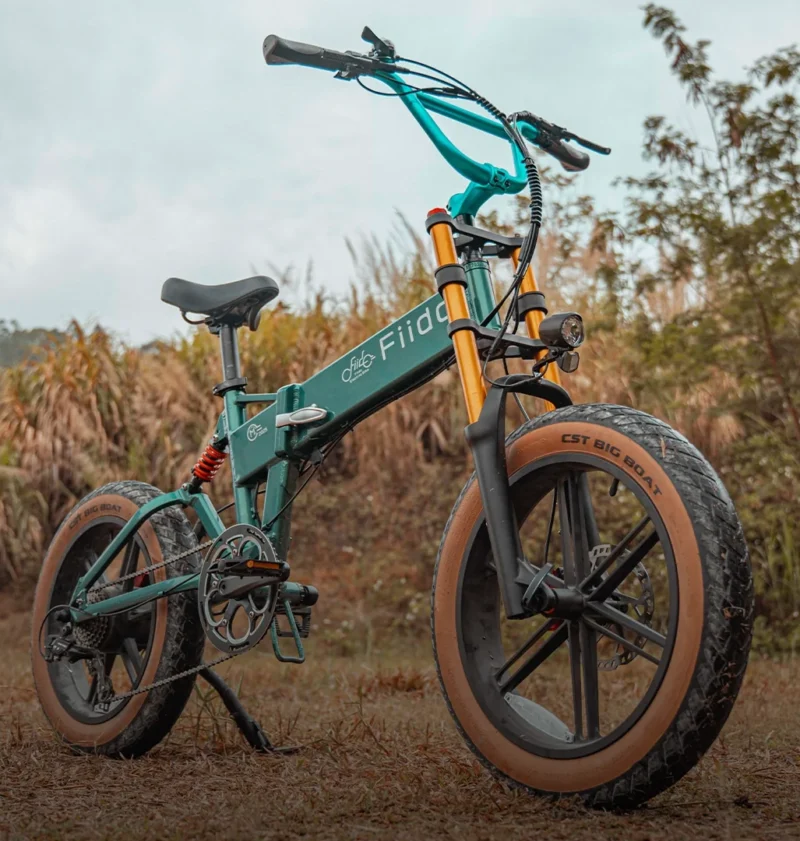 FIIDO M1 PRO Newest Version Fat Tire E-bike